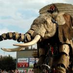 Royal de luxe Calais